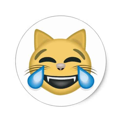 Cat Face With Tears Of Joy Emoji Classic Round Sticker