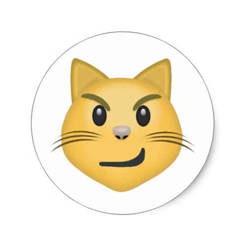 Cat Face With Wry Smile Emoji Classic Round Sticker