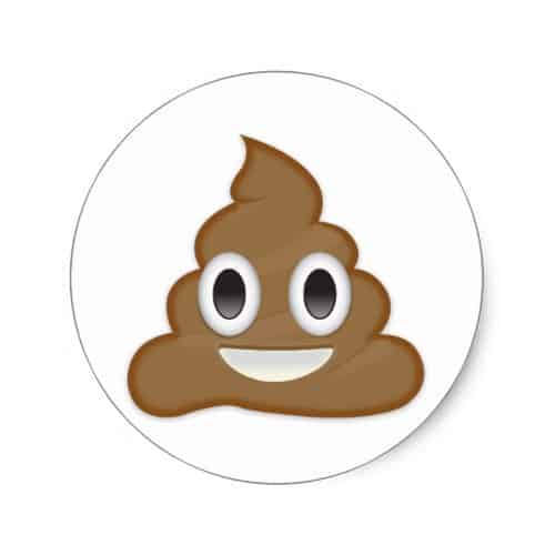 Pile Of Poo Emoji Classic Round Sticker